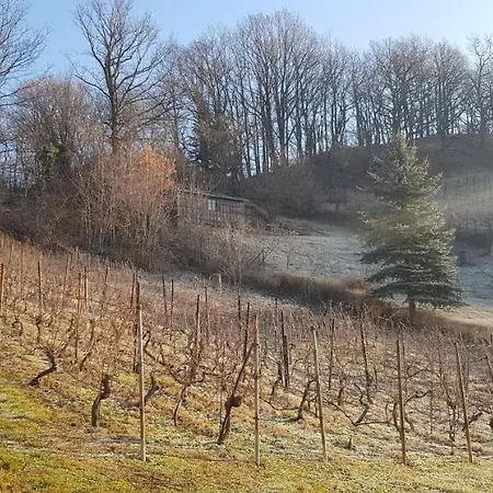 Apartment An Der Bosel Coswig (Saxony)