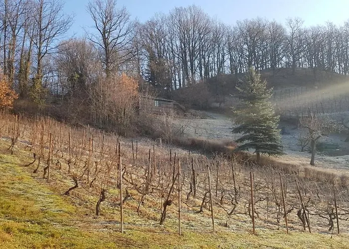 Lägenhet An Der Bosel Coswig (Saxony)