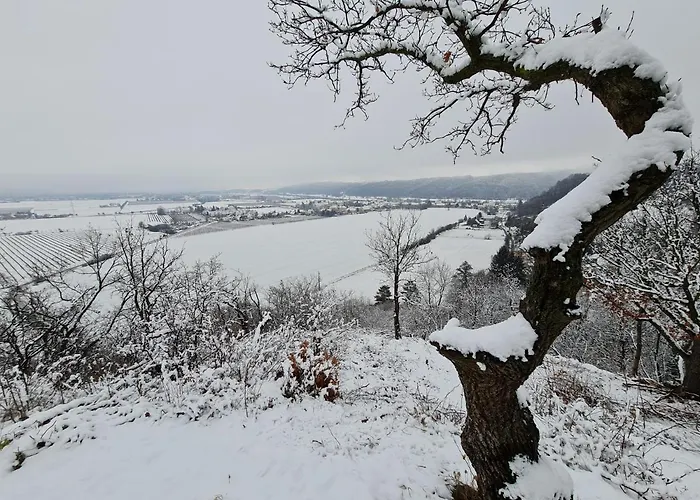 Lägenhet An Der Bosel *